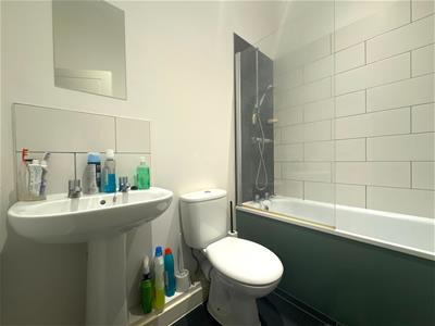 Picture 7